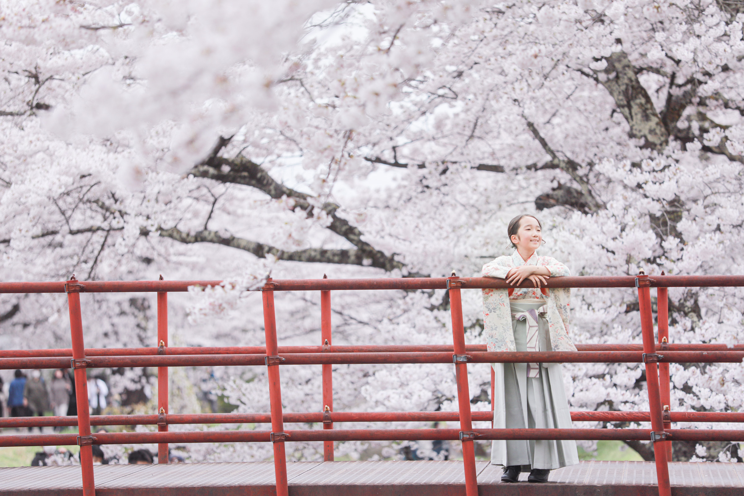 桜と…*