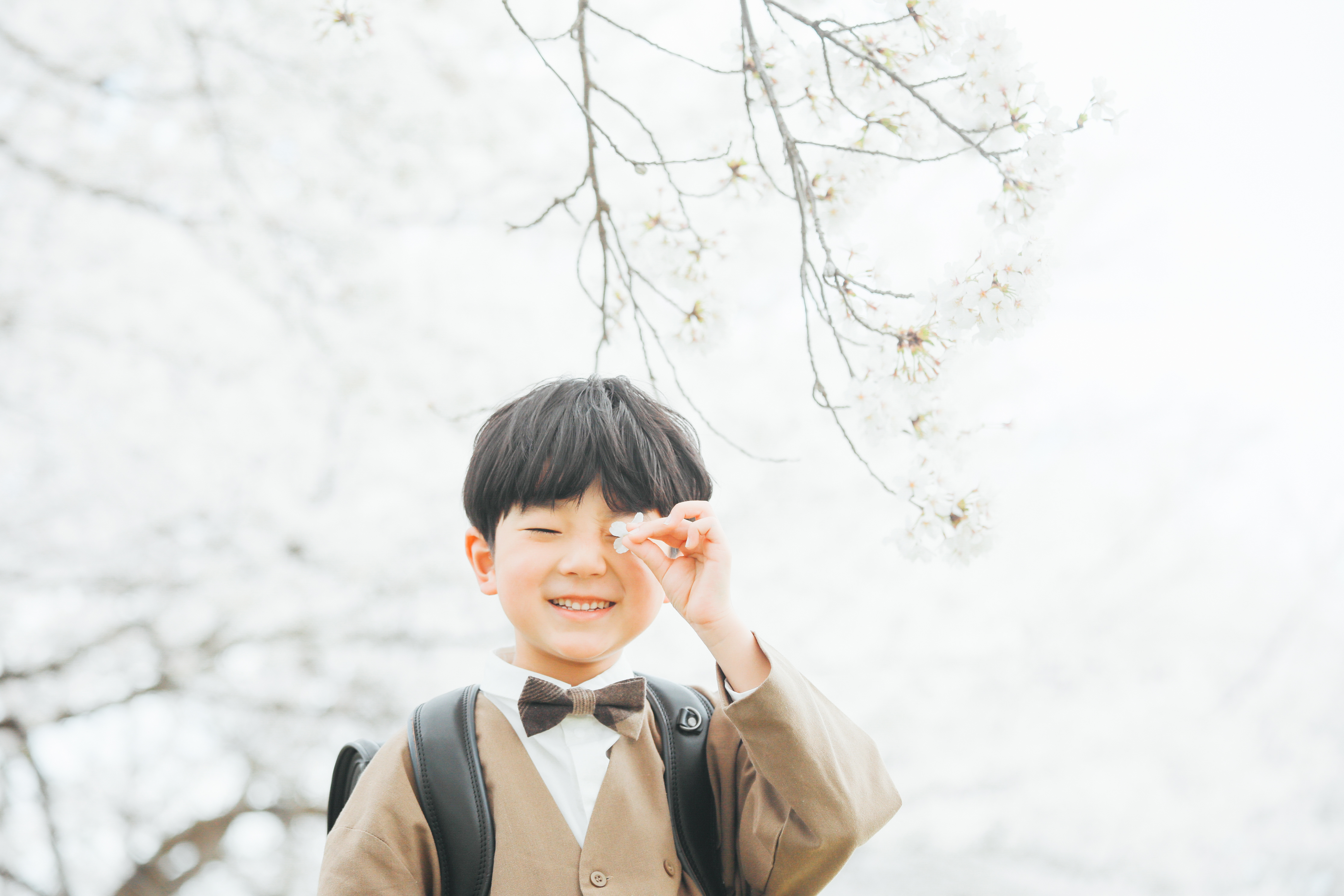 桜の花と…*